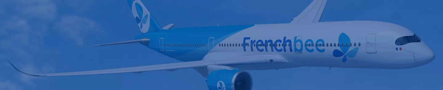 Avion French bee