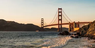 san francisco french bee