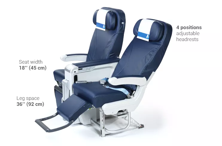 Classe Premium French bee