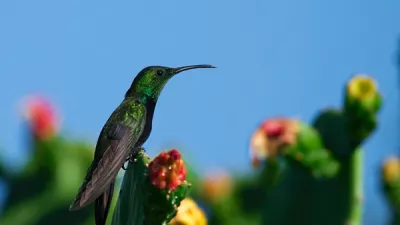 Photo de Punta Cana