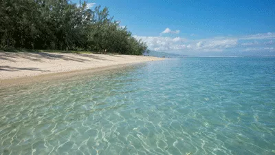 Photo de la réunion