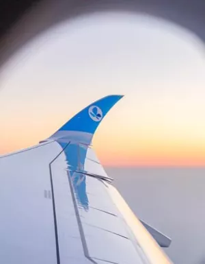 French bee airplane